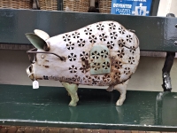 Blikken varken met bril