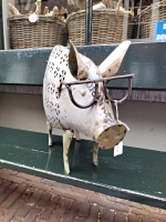 Blikken varken met bril