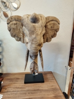 Groot olifanten hoofd op standaard