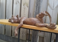 Beeld luie kat