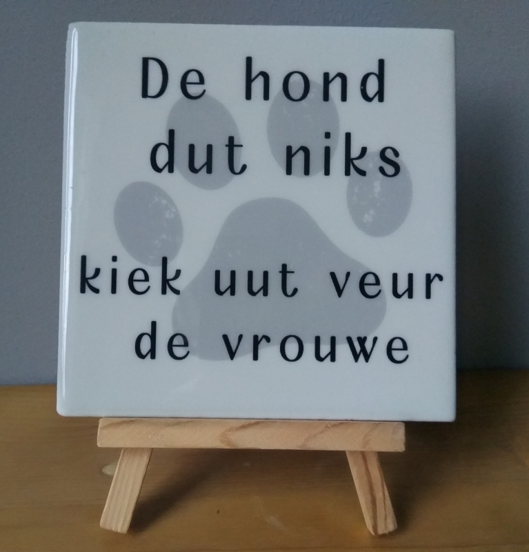 Tegeltje de hond dut niks