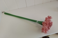 Sculptuur glas Anjer zalm