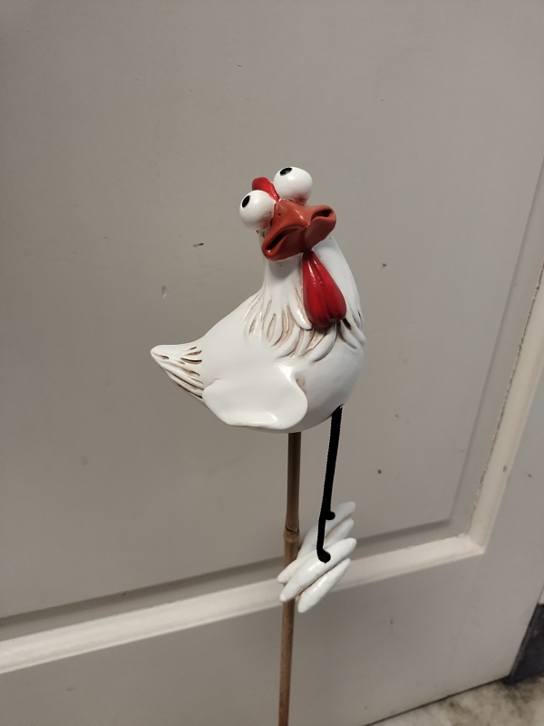 Kip Frits met bungelbeentjes - 1