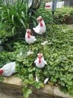 Kip Frits met bungelbeentjes - 1