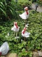 Kip Frits met bungelbeentjes - 2