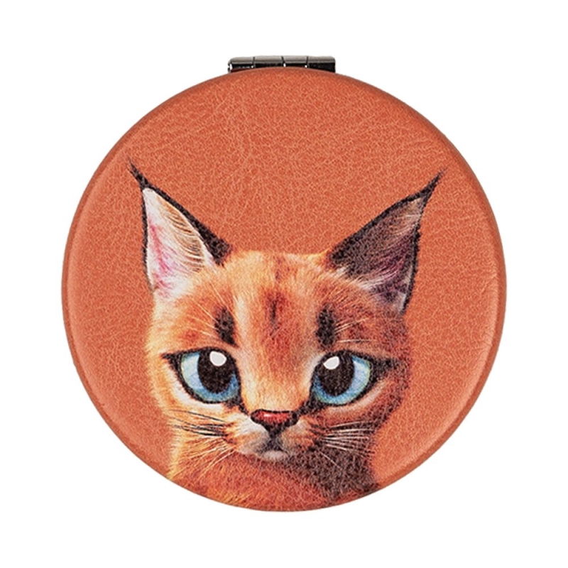 Handspiegeltje poes oranje