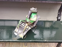 Kikker op ligbed van gerecycled blik