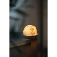 Starlight lichtkoepel huiskatten