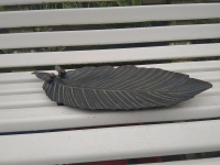 Vogelbadje voerbak bladvorm