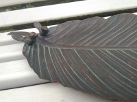 Vogelbadje voerbak bladvorm