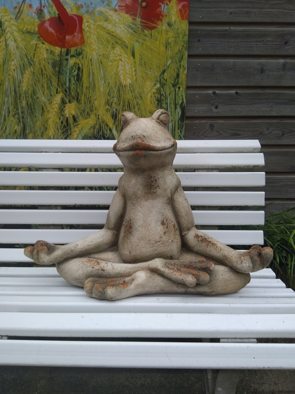 Beeld yoga kikker XL
