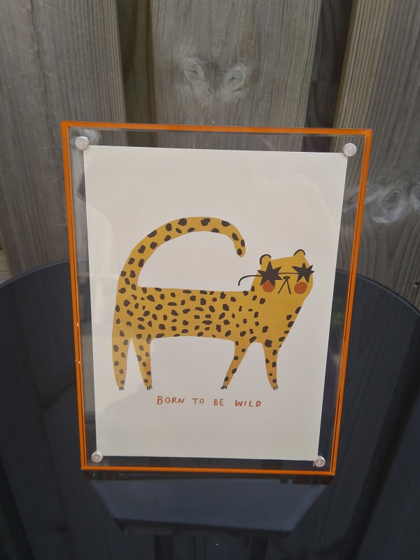 Fotolijst Forma oranje - M