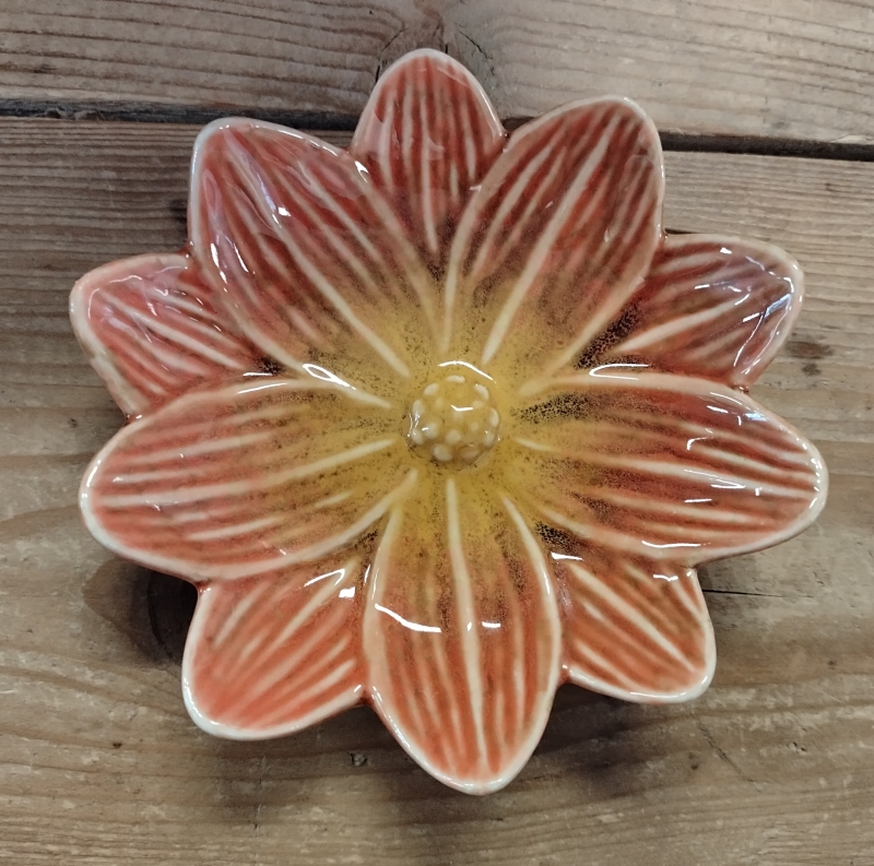 Schaaltje bloem zalmoranje