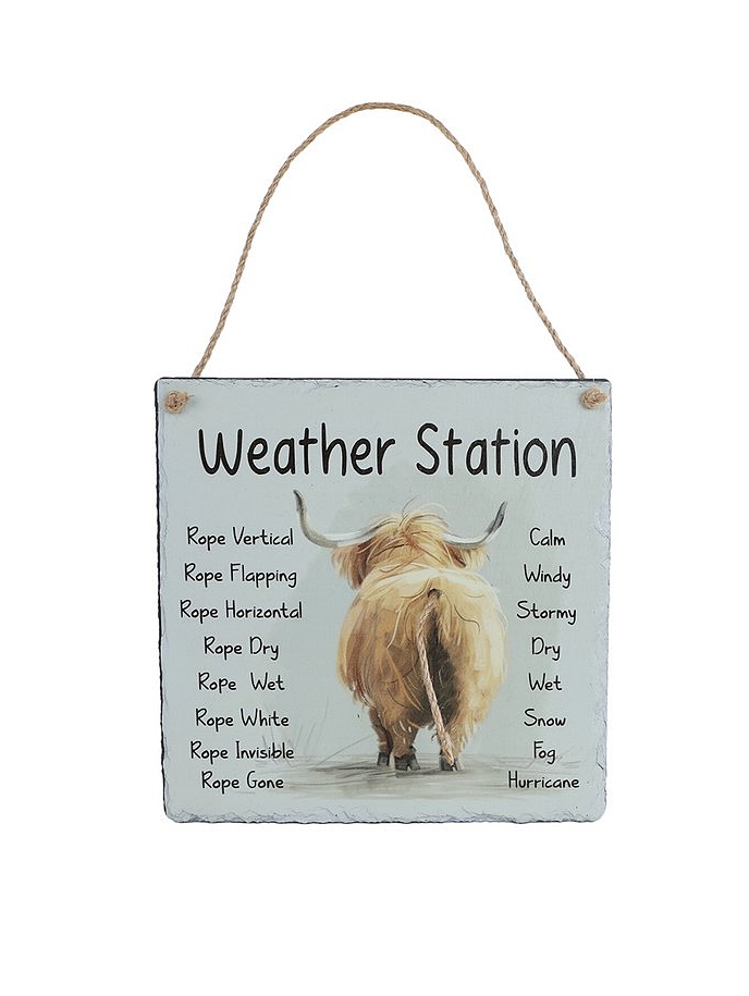 Wanddecoratie tegel weerstation