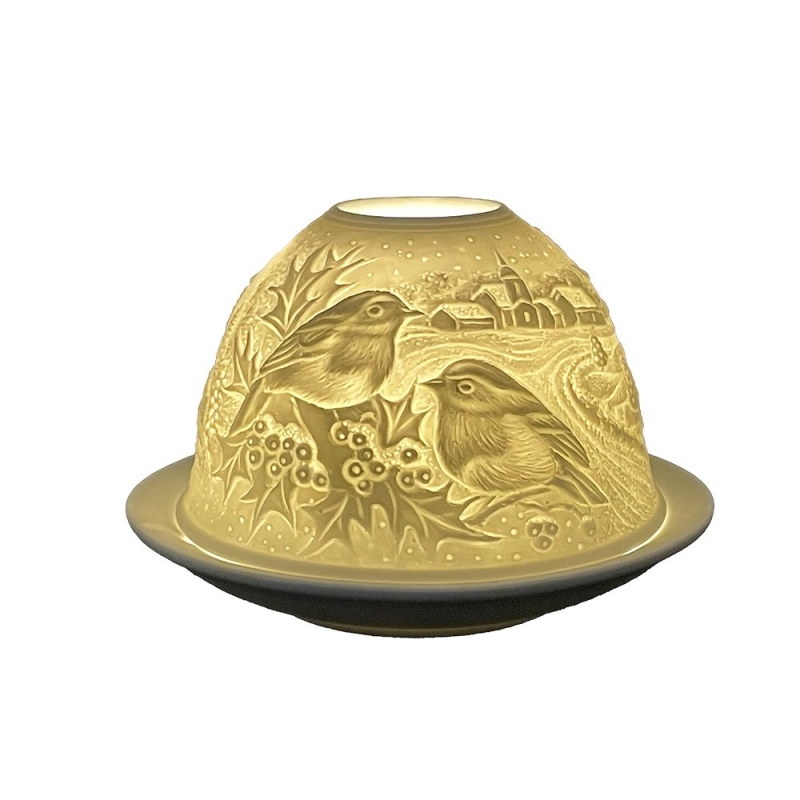 Starlight lichtkoepel winterlandschap