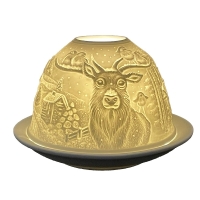 Starlight lichtkoepel winterlandschap