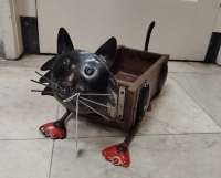 Kat van steenmal en gerecycled blik