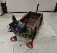 Kat van steenmal en gerecycled blik