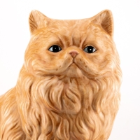 Aardewerk vaas oranje kat