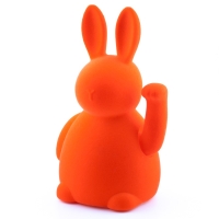 Lucky rabbit oranje