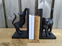 Boekensteunen speelse kat
