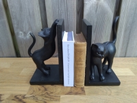 Boekensteunen speelse kat