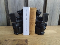 Boekensteunen lezende kat