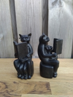 Boekensteunen lezende kat