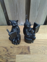 Boekensteunen lezende kat