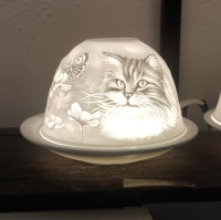 Starlight lichtkoepel kat met vlinder